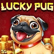 Lucky Pug
